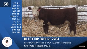 Lot #58 - BLACKTOP ENDURE 2704