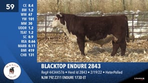 Lot #59 - BLACKTOP ENDURE 2843