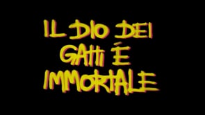 IL DIO DEI GATTI É IMMORTALE - Trailer released