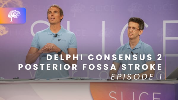 Posterior Fossa Stroke - Ep.1/2