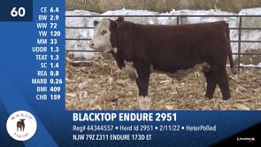 Lot #60 - BLACKTOP ENDURE 2951