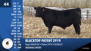 Lot #44 - BLACKTOP PATENT 2919