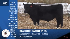 Lot #42 - BLACKTOP PATENT 2105