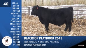 Lot #40 - BLACKTOP PLAYBOOK 2643