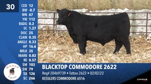 Lot #30 - BLACKTOP COMMODORE 2622