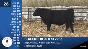 Lot #26 - BLACKTOP RESILIENT 2956