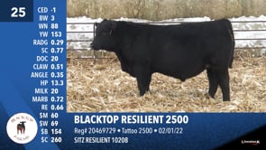 Lot #25 - BLACKTOP RESILIENT 2500