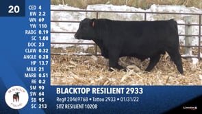 Lot #20 - BLACKTOP RESILIENT 2933