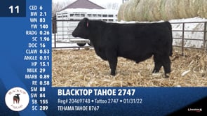 Lot #11 - BLACKTOP TAHOE 2747