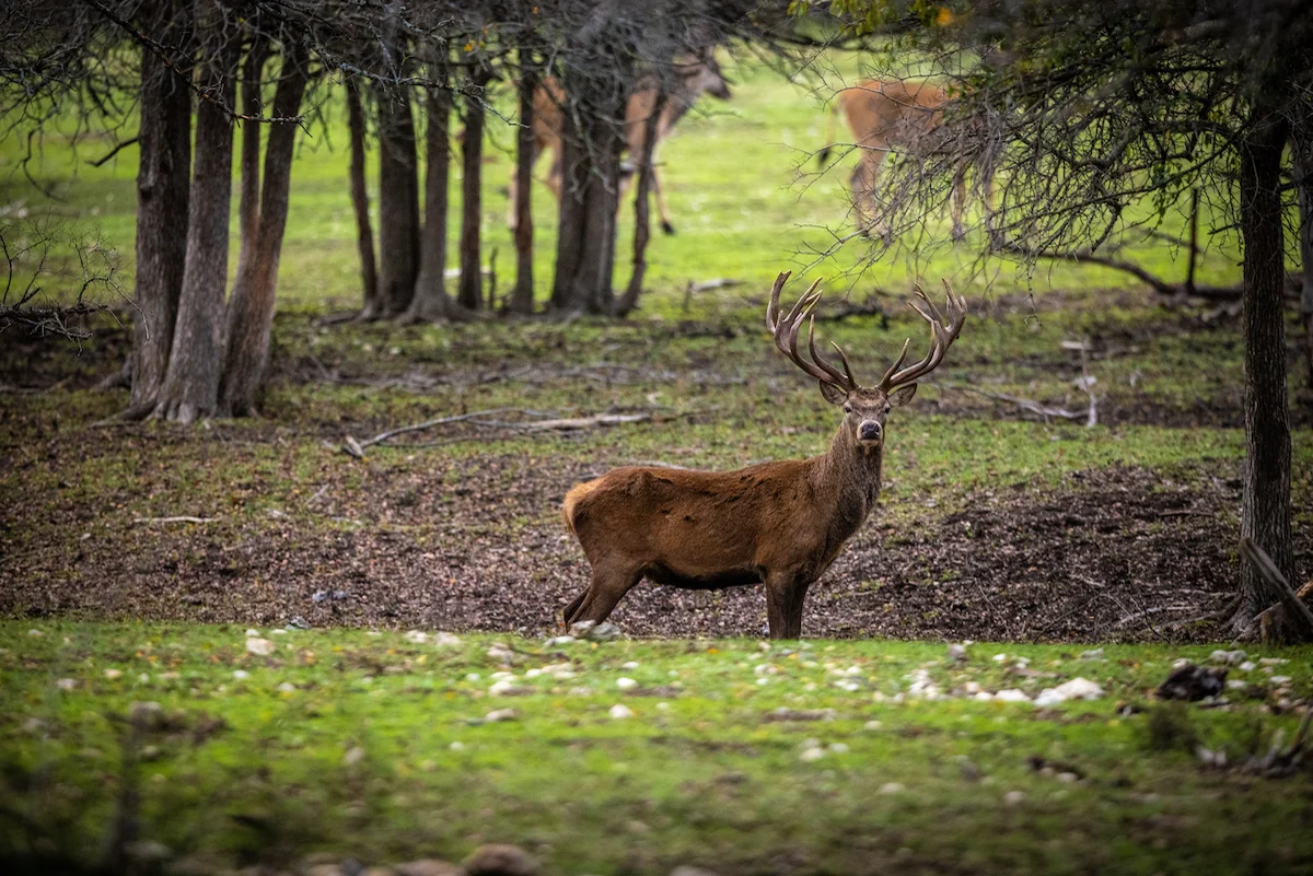 V-BHARRE Ranch | Legendary Bosque County Ranch for Sale on Vimeo