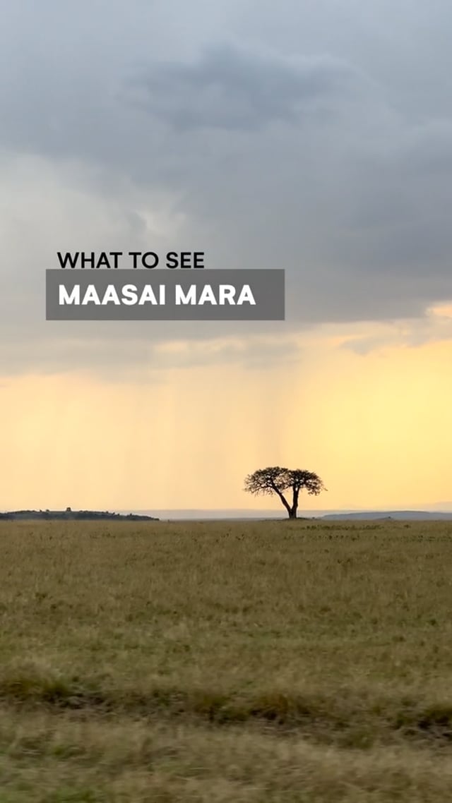 Maasai Mara