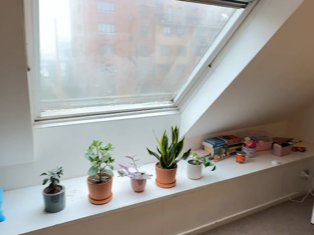 Cosy Double Room in Friendly House Main Photo