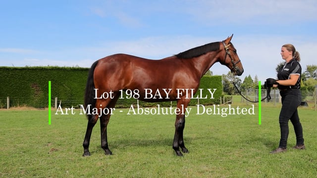 Lot 198