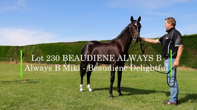 Lot 230