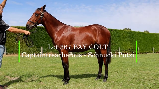 Lot 367