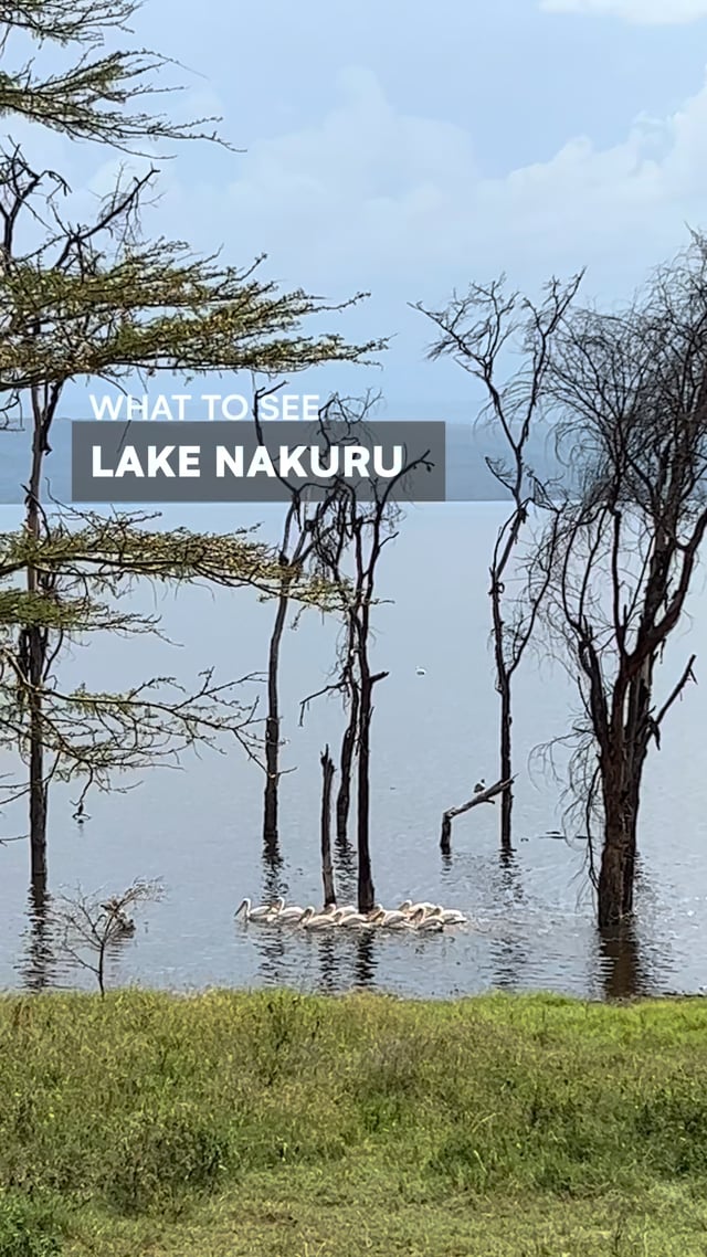 Lake Nakuru