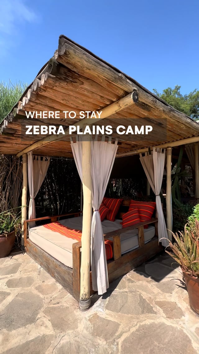 Zebra Plains Mara Camp