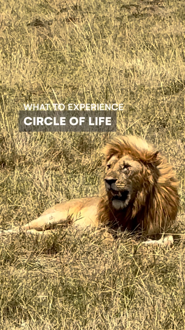 Circle of Life