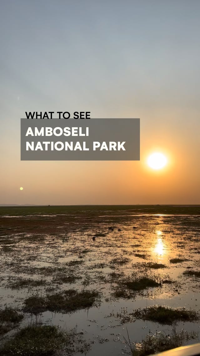 Amboseli Park