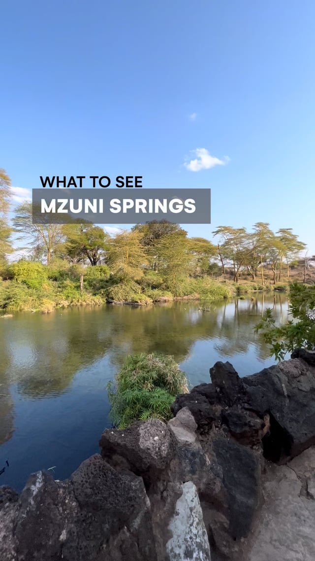 Mzuni Springs