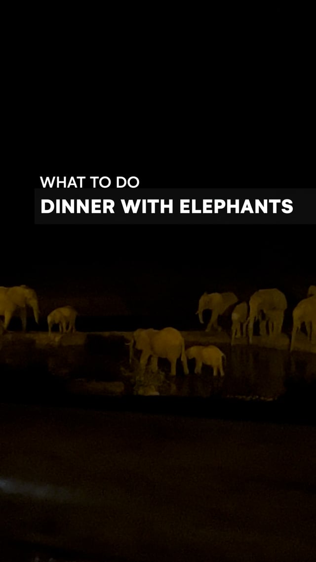 Dinner with Kilaguna elephants