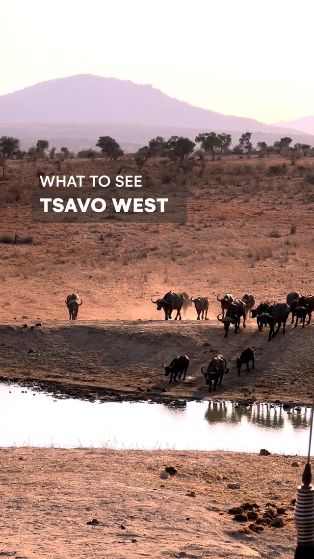 Tsavo West