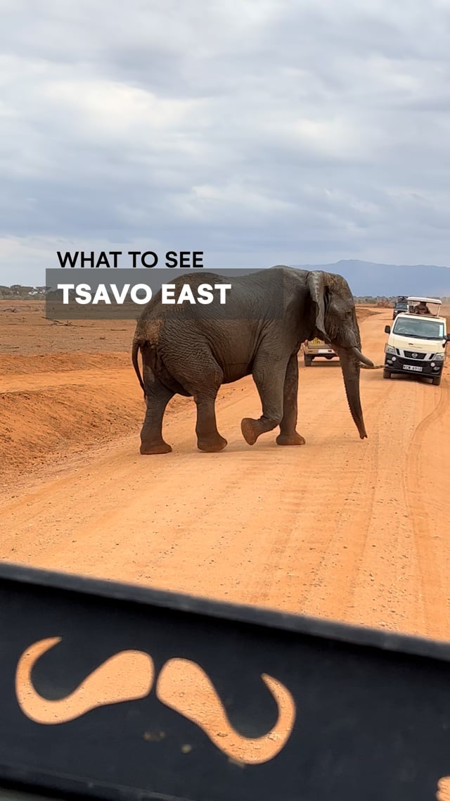 Tsavo East