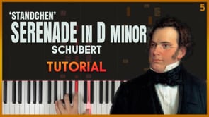 Serenade in D minor (Standchen)