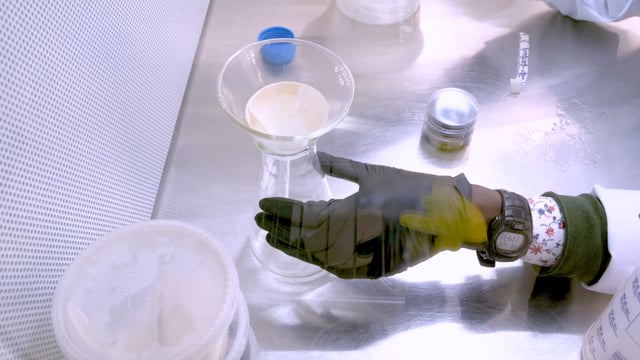 Orchid Micropropagation: What it is, How to Do it, Methods & Challenges