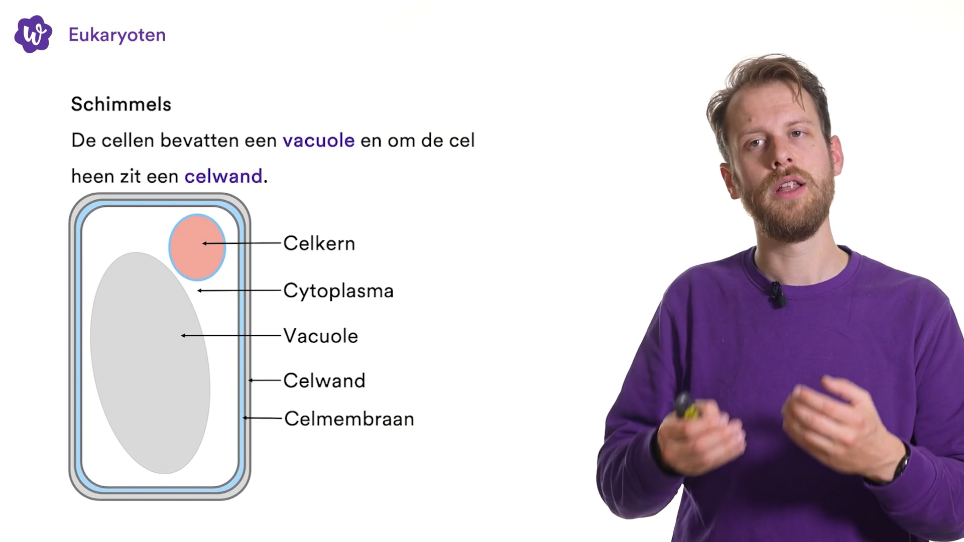 Oefen Met Evolutie Uit Biologie Voor Jou / Bvj – 4 Havo – 8 | StudyGo