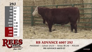 Lot #29J - RB ADVANCE 6007 29J