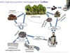 Pyrolysis: Can the Dark Side of Fire Save Our Climate?