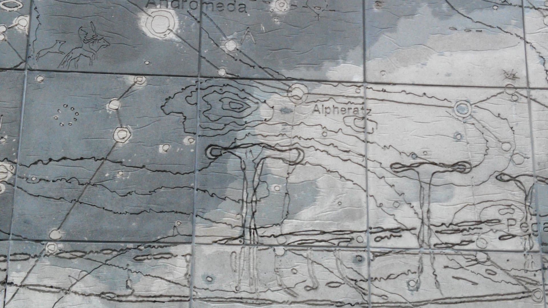 2023 January 21: The Ankura Sutta