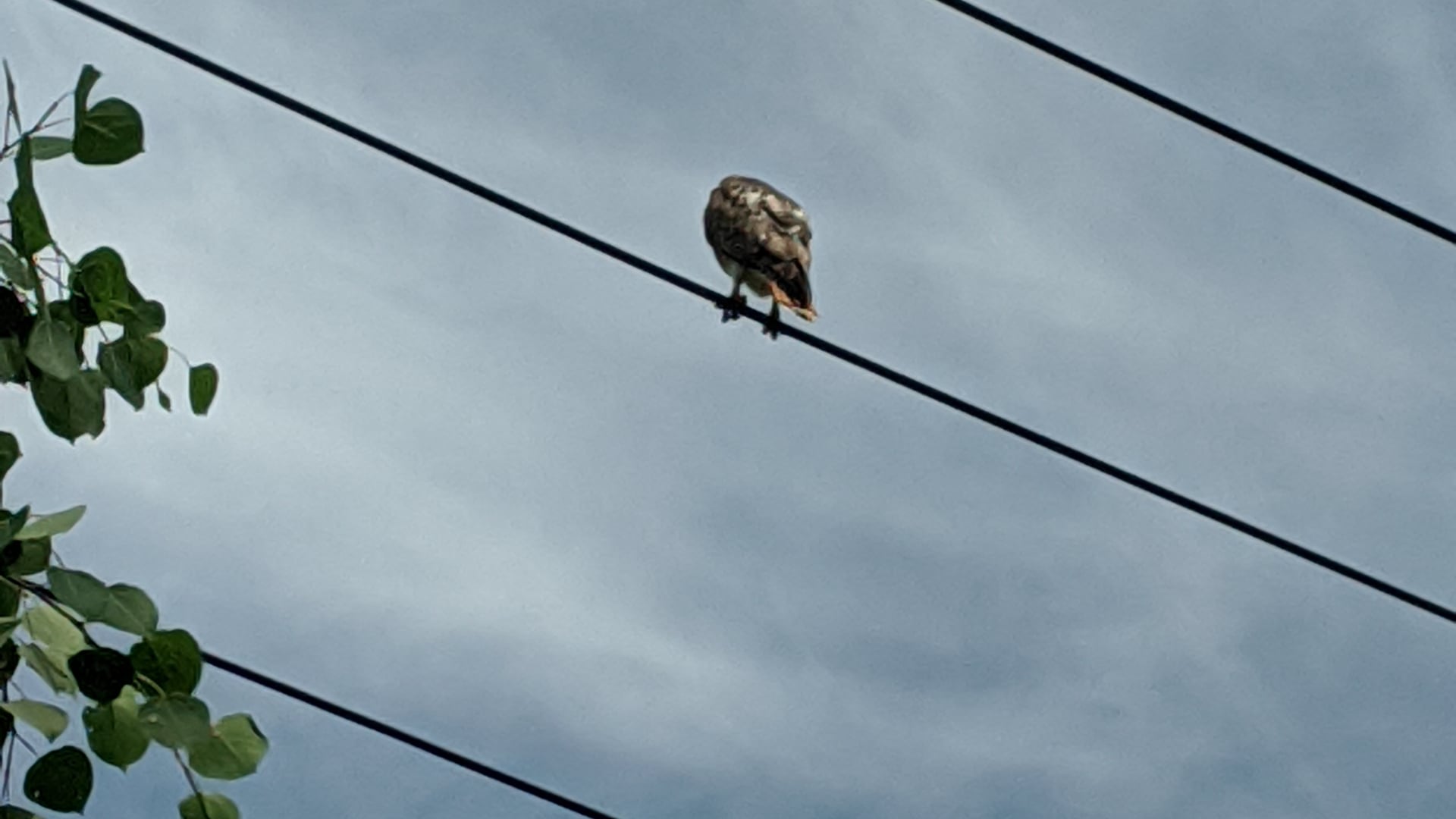 2023 January 11: Transforming Transactions into Connections