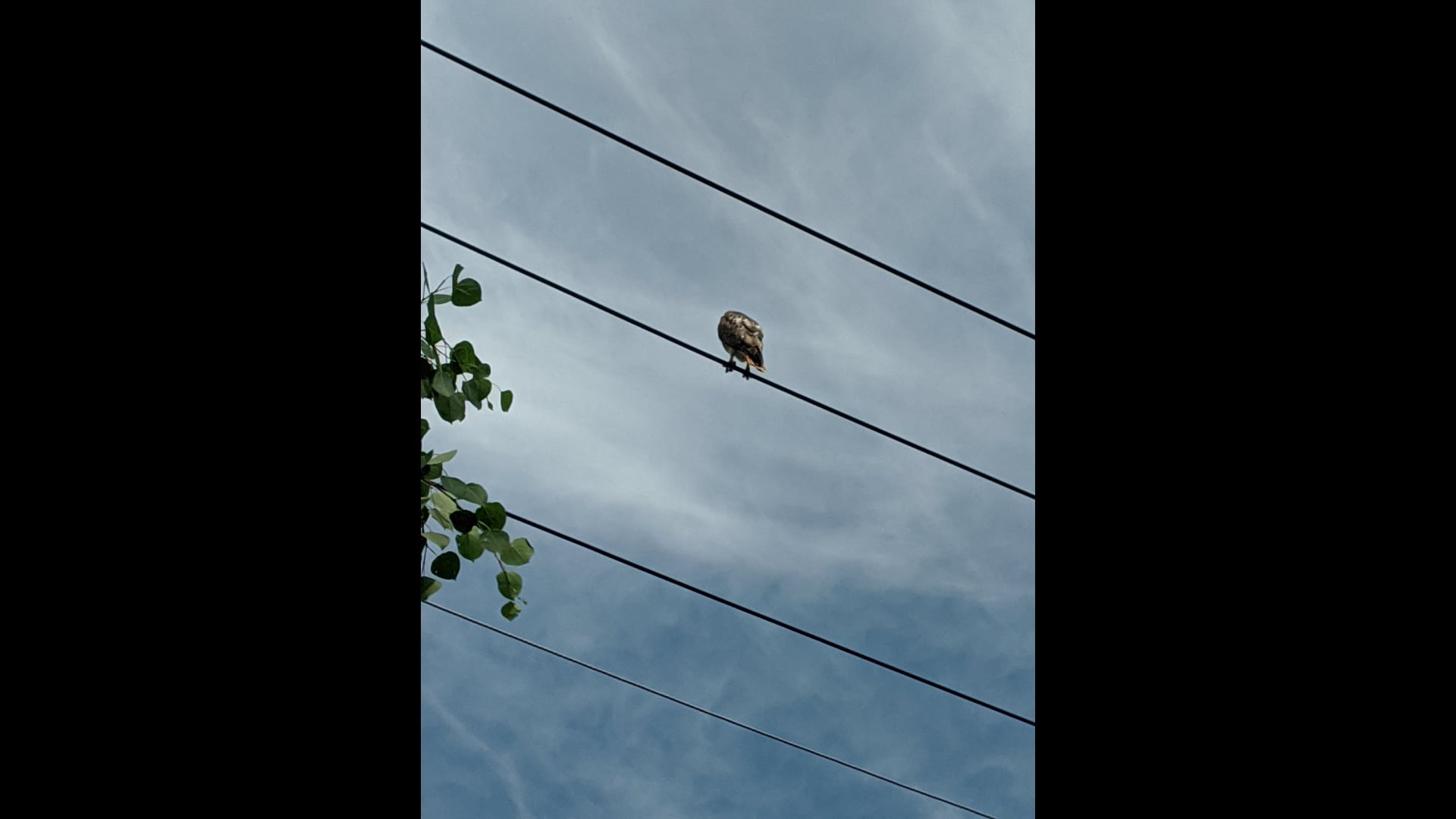 2023 January 11: Transforming Transactions into Connections