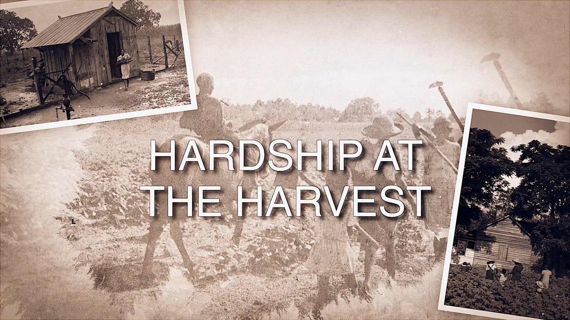 Hardship at the Harvest.m4v