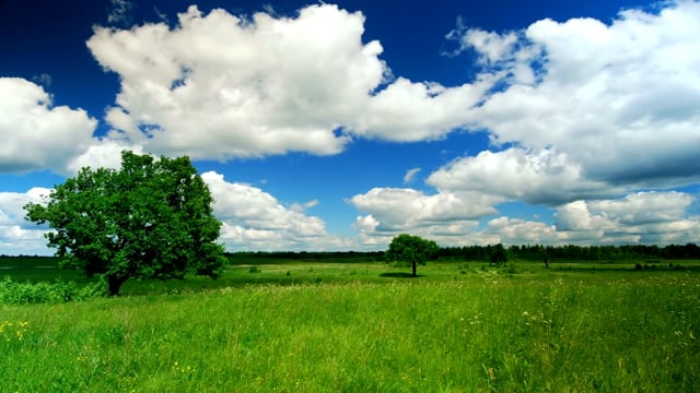 1K+ Green Grass Blue Sky Pictures | Download Free Images on Unsplash