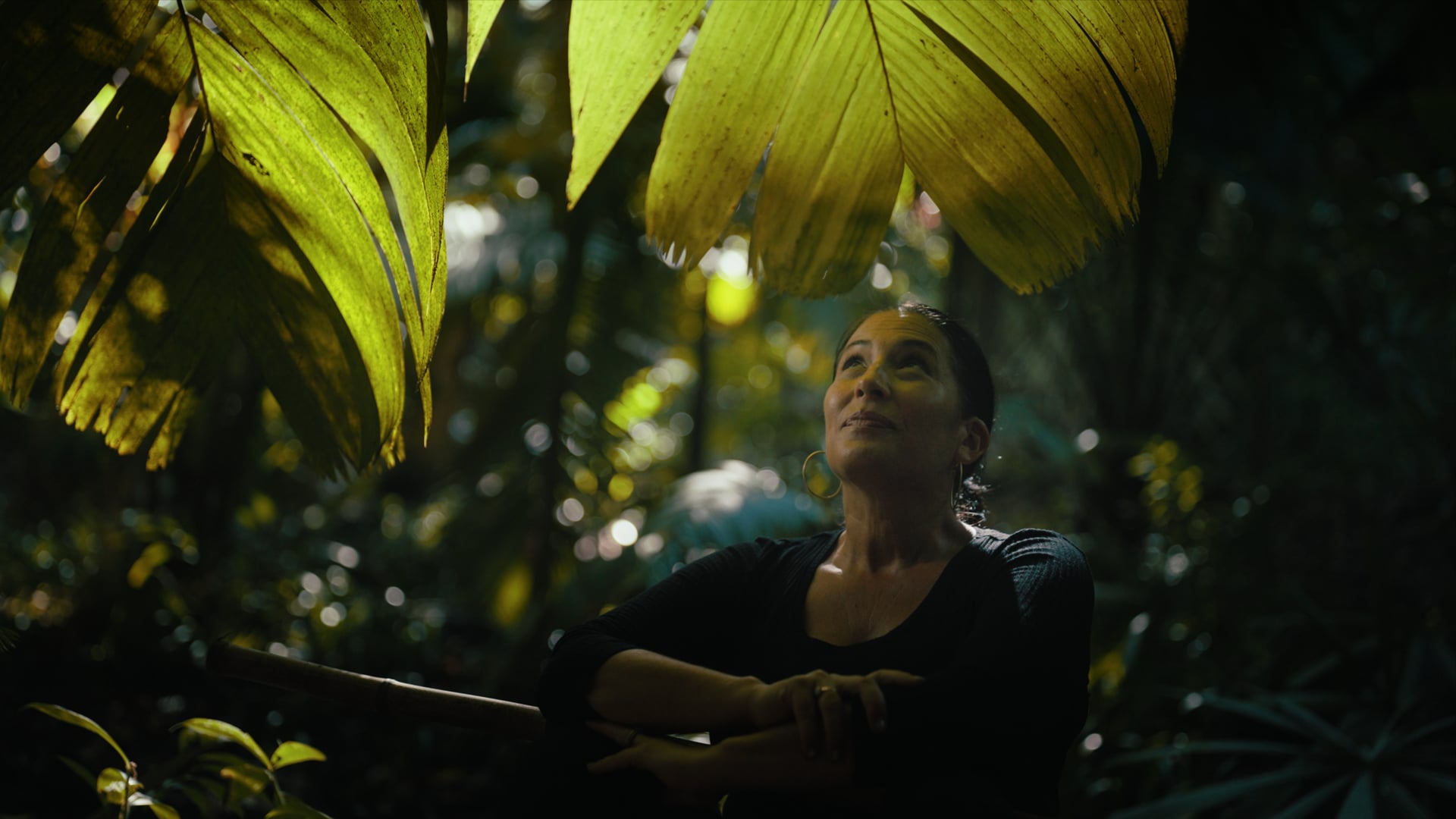Ada Limón: Artist  in Residence