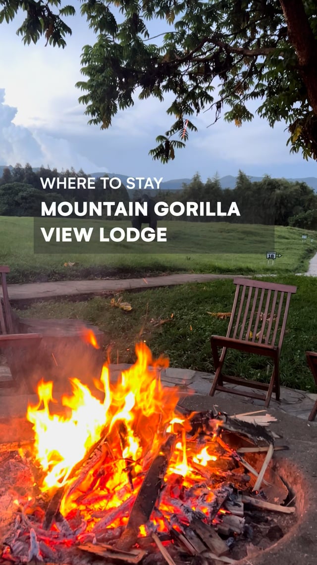 Mountain Gorilla View Lodge