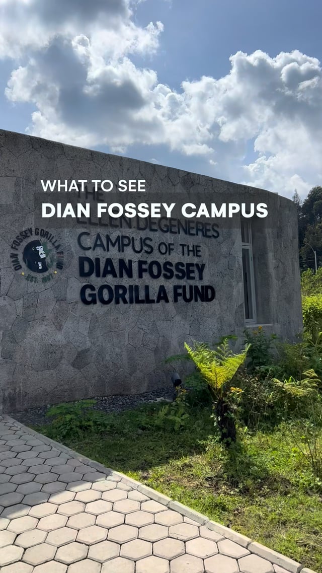Dian Fossey Cultural Center
