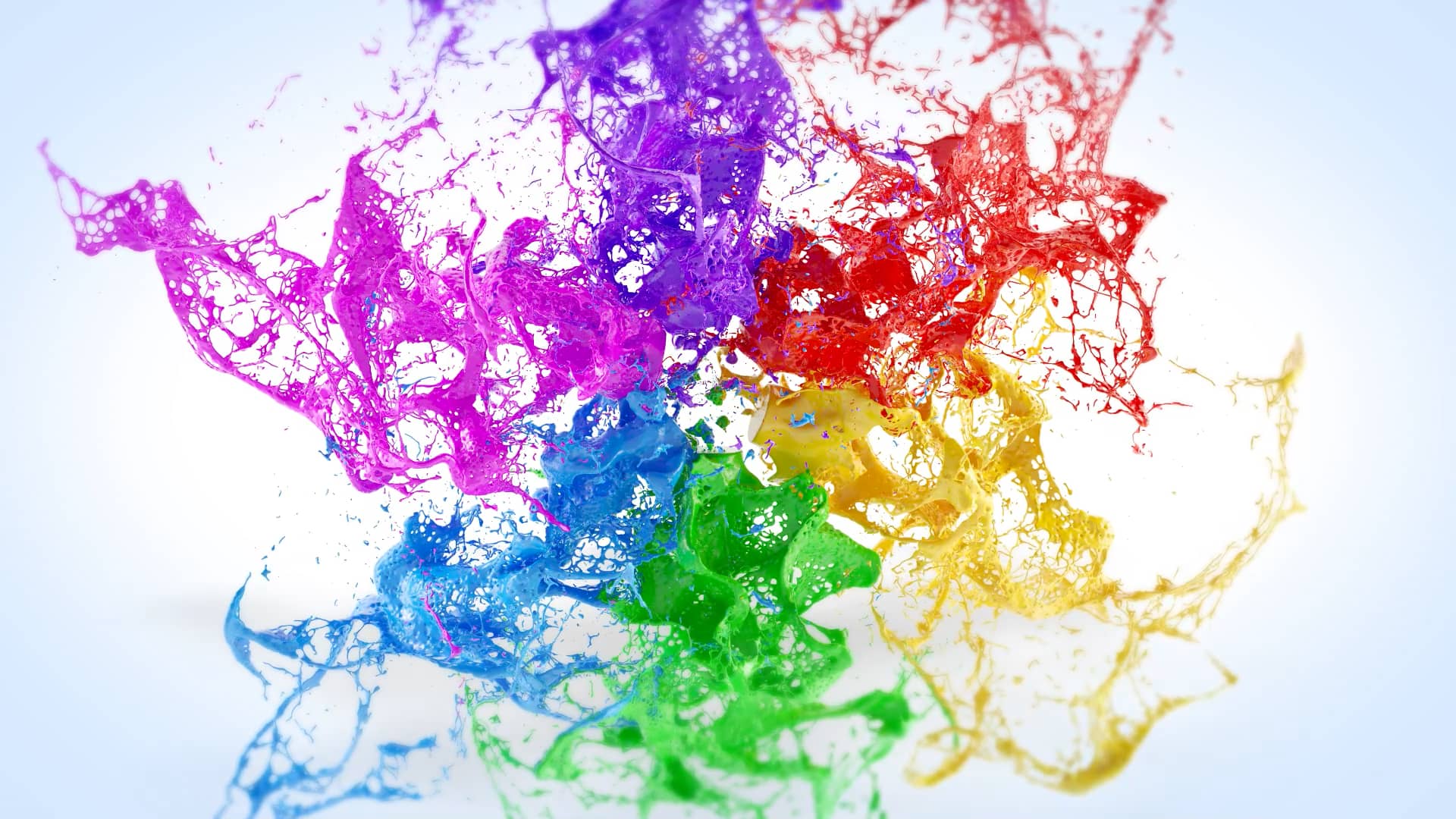 COWHIDE Wall Covering Timelapse on Vimeo