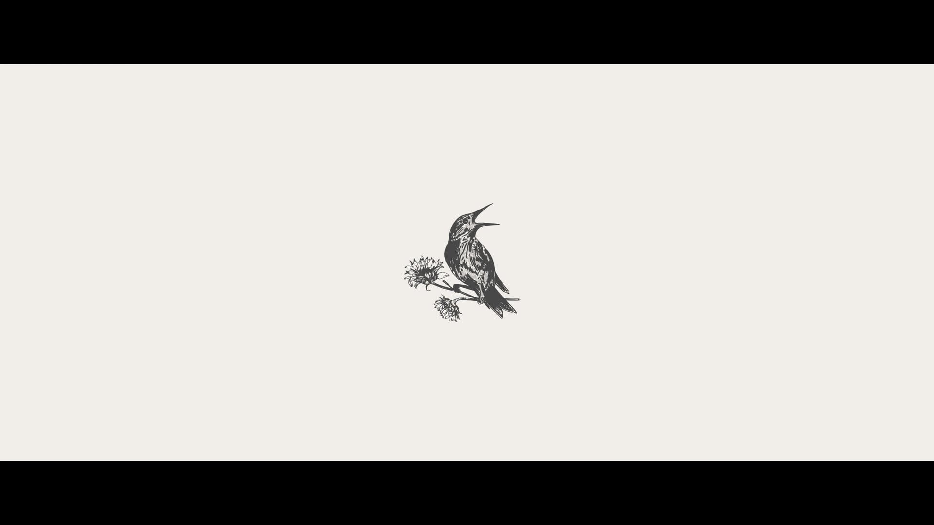 Cinema Reel | Meadowlark