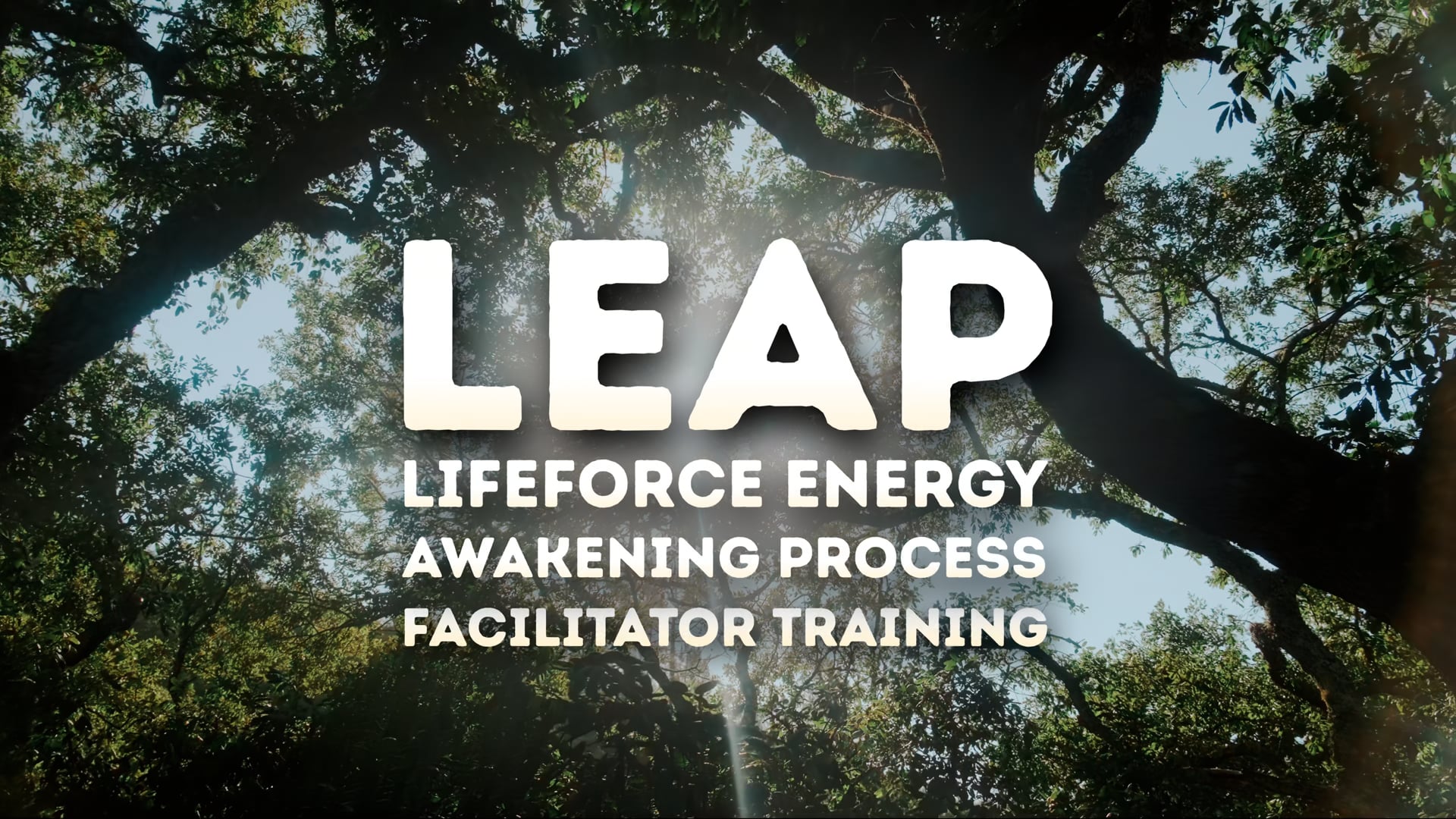 LEAP Facilitator Training