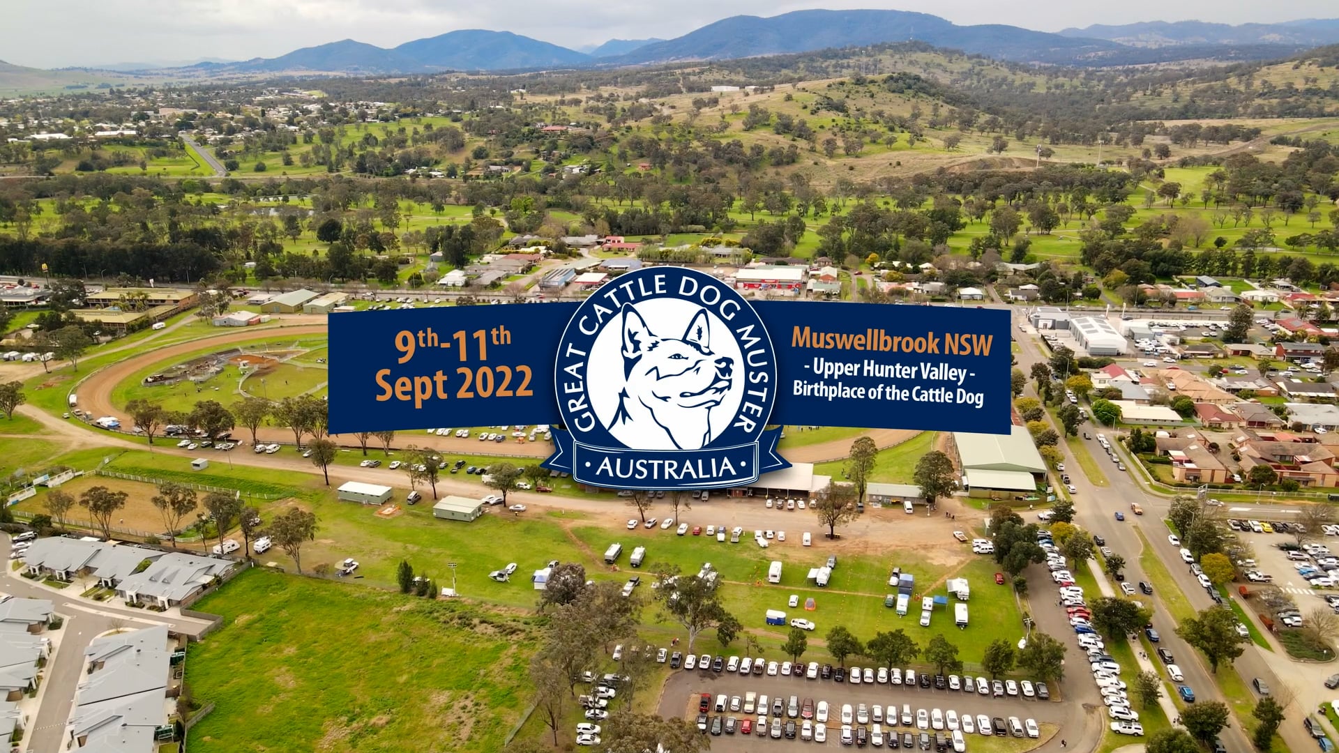 The Great Cattle Dog Muster 2022 - Muswellbrook, NSW