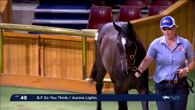 Karaka 2023 - Book 1 - Day One - Lots 49 - 56
