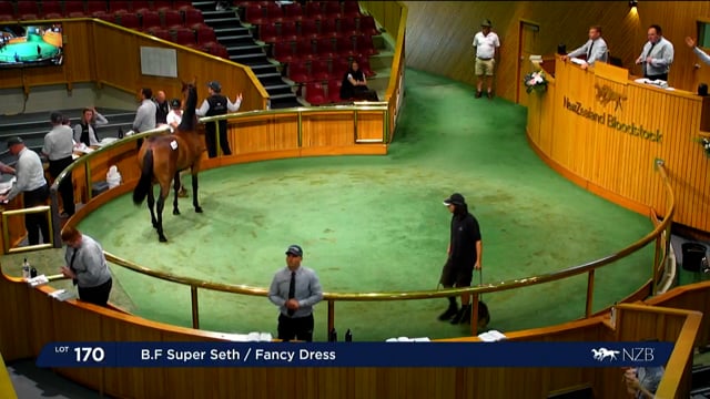 Karaka 2023 - Book 1 - Day One - Lots 170 - 180