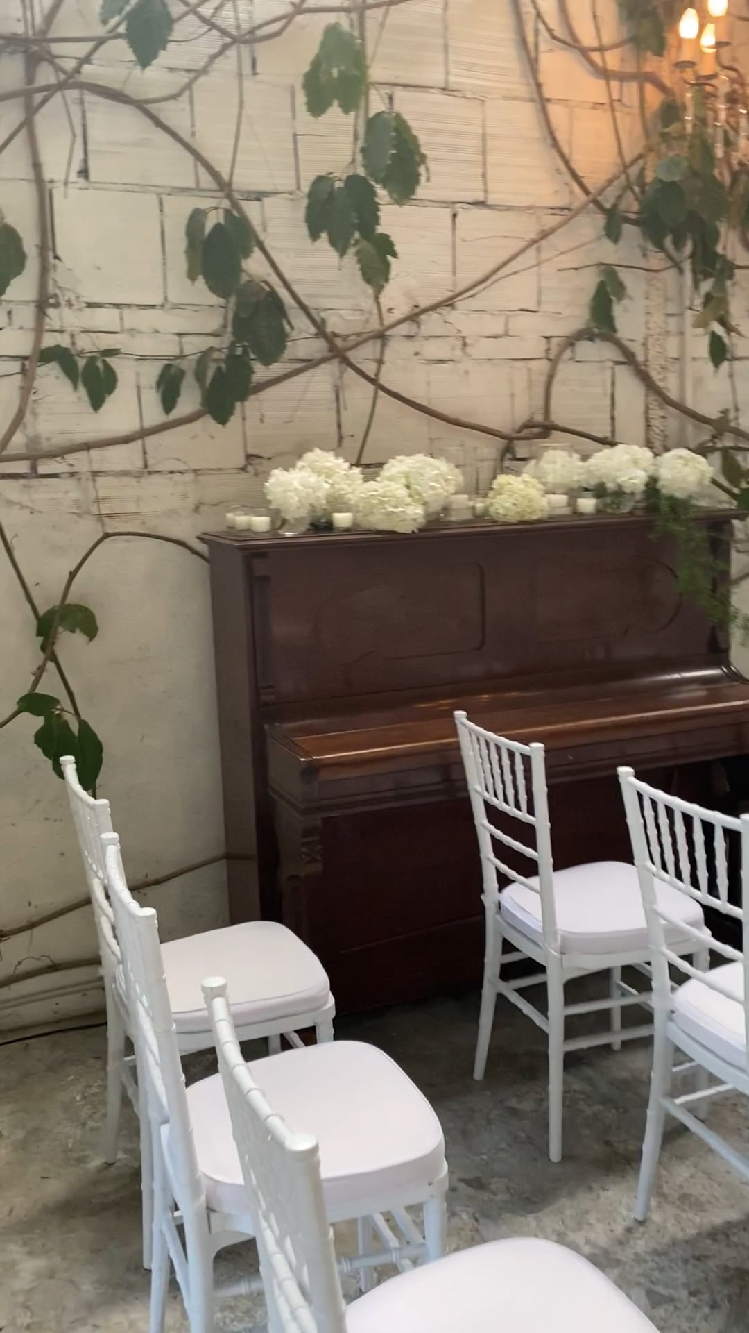 Ca' Bevilacqua B&B - Location & Eventi
