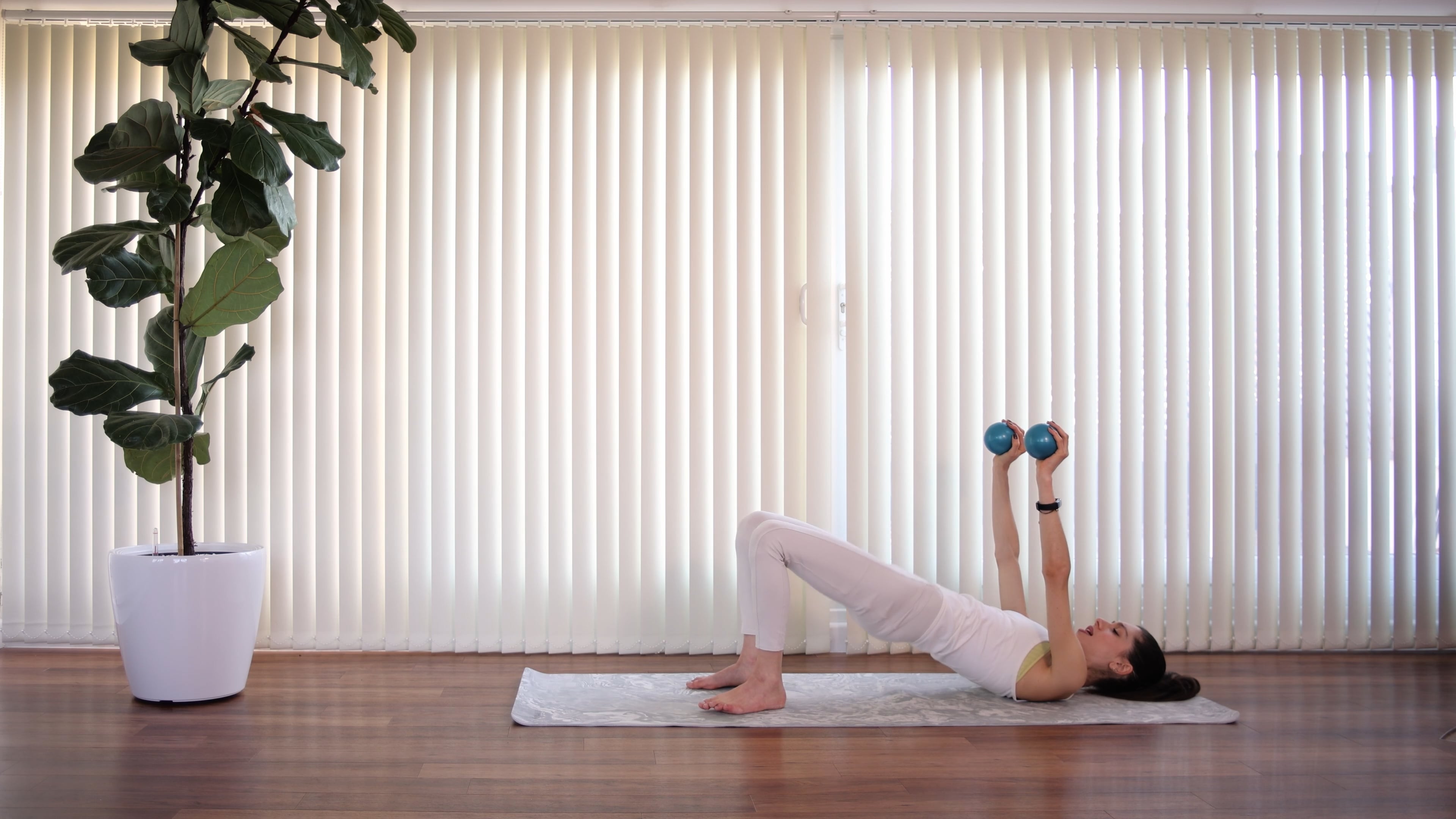 14 MIN Pure Core Pilates (light weights optional)