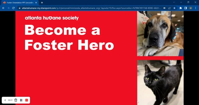 Foster Orientation - Atlanta Humane Society