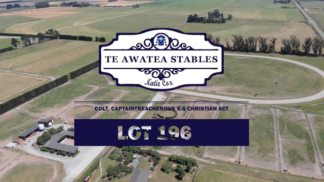 Lot 196